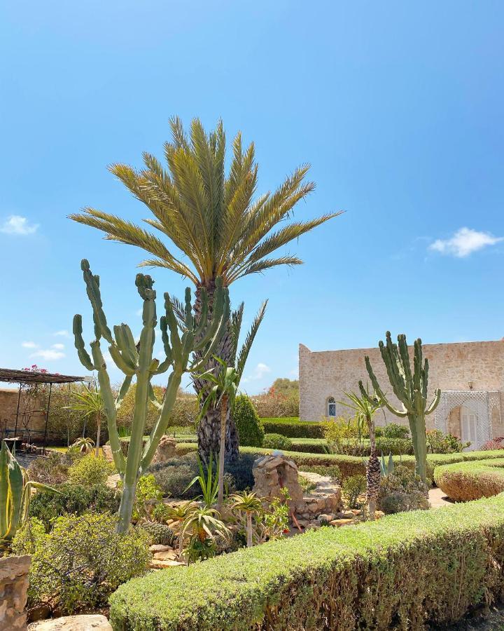 Maison Mimosa, Lovely 3 Bedroom Villa With A Large Pool الصويرة المظهر الخارجي الصورة