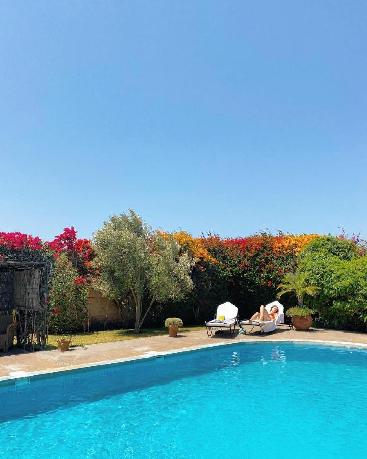 Maison Mimosa, Lovely 3 Bedroom Villa With A Large Pool الصويرة المظهر الخارجي الصورة