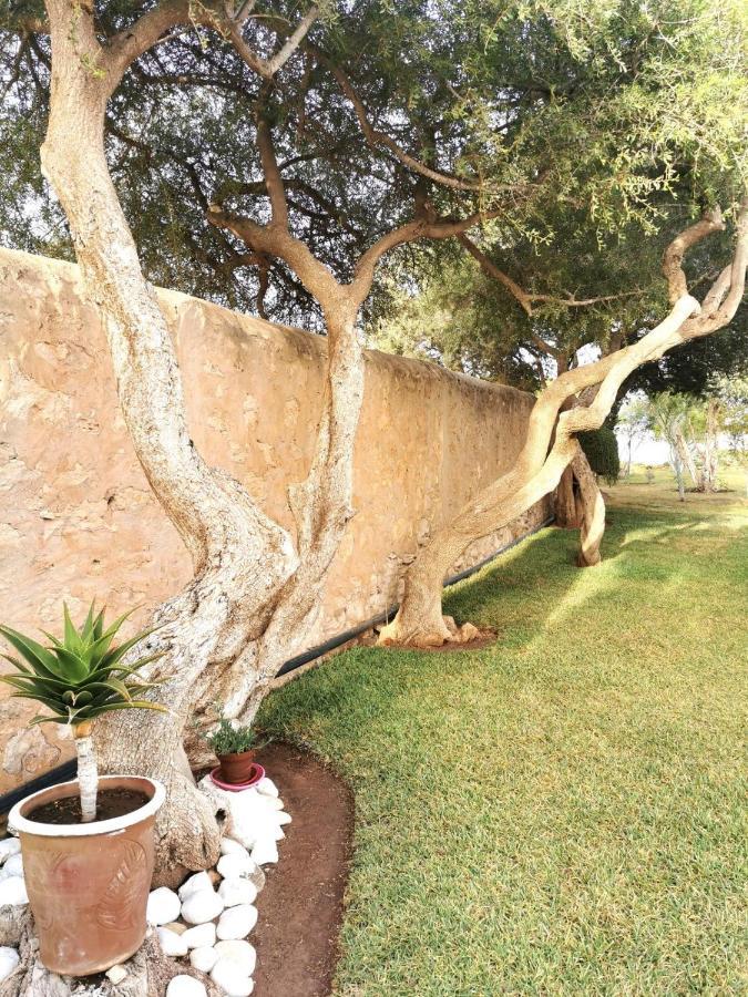 Maison Mimosa, Lovely 3 Bedroom Villa With A Large Pool الصويرة المظهر الخارجي الصورة