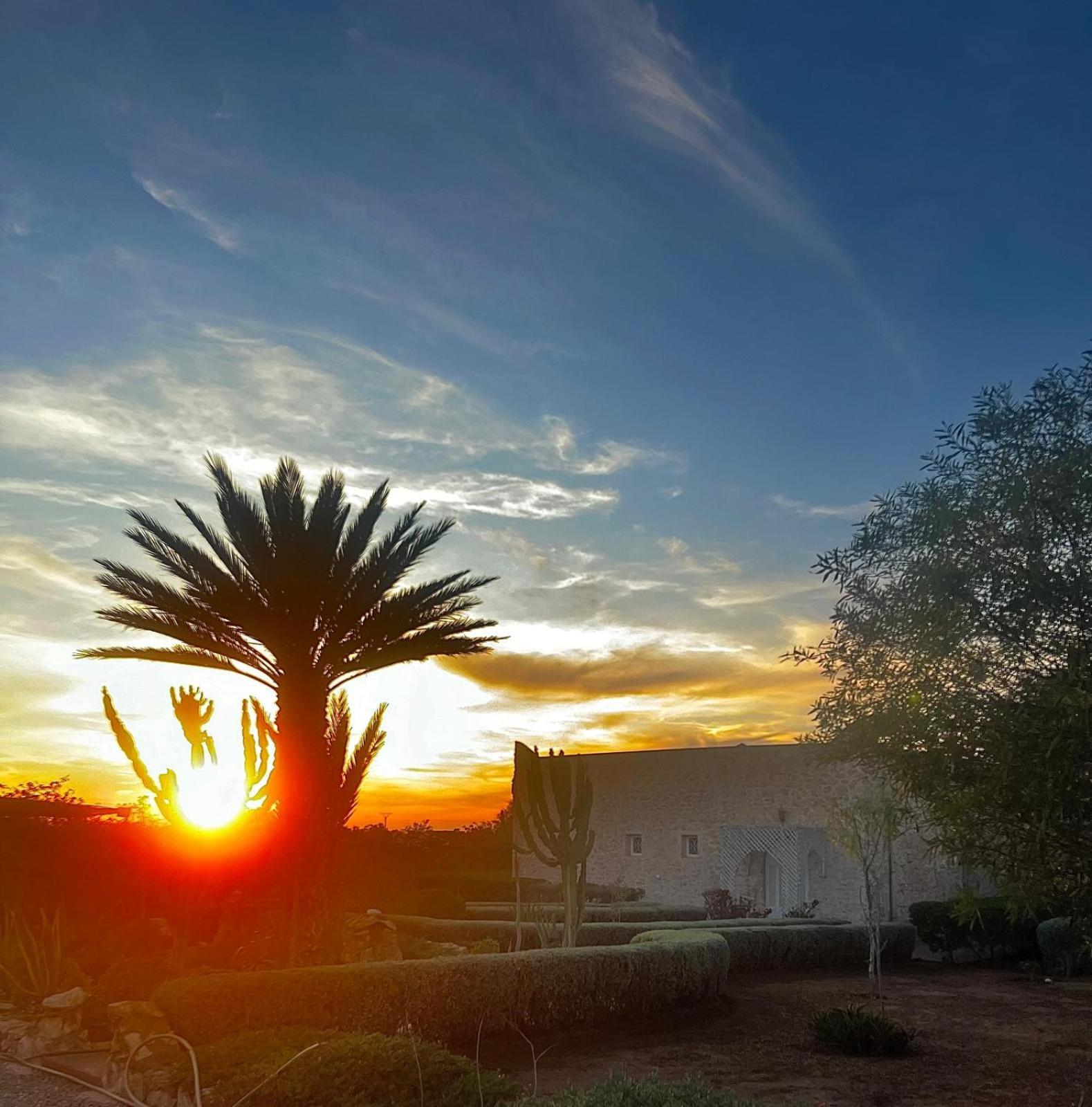 Maison Mimosa, Lovely 3 Bedroom Villa With A Large Pool الصويرة المظهر الخارجي الصورة
